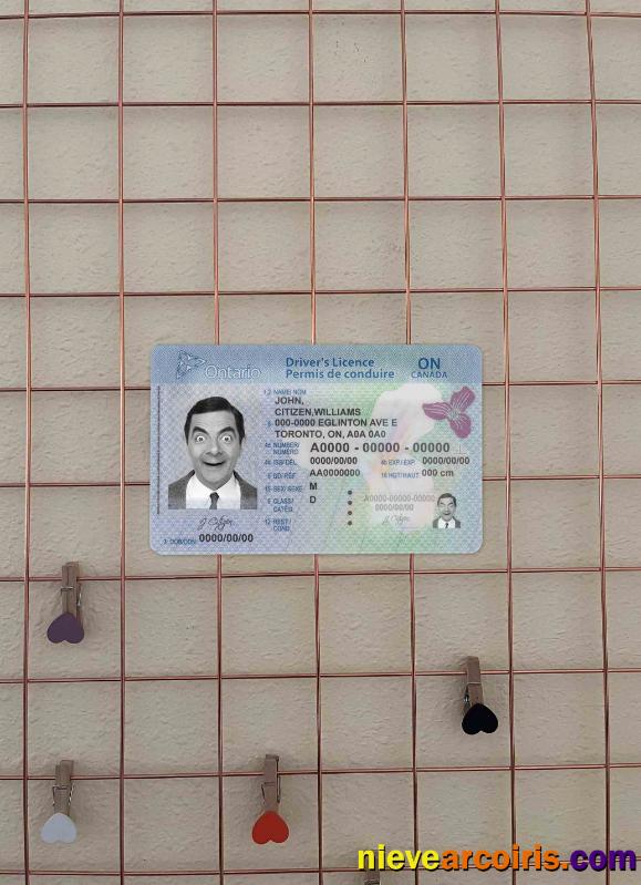 Canada Ontario driving license (2018 – present) photolook